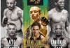 UFC237前瞻：罗斯迎战安德拉德 席尔瓦奥尔多携手登场